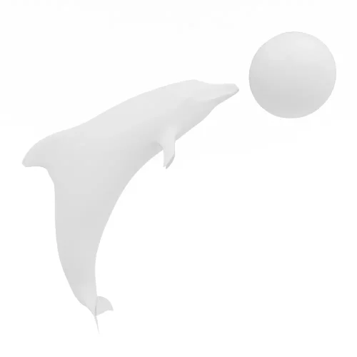 Delfin z piłką