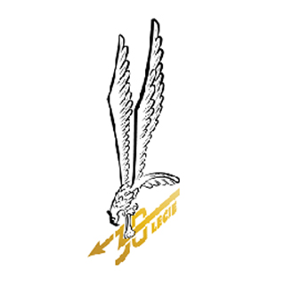 oryginalne logo Grom