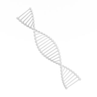 Podwójna helisa DNA - 2