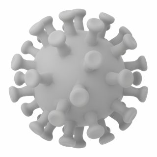 Corona Virus - 1