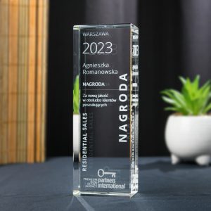Nagroda 3D dla handlowca - Partners International