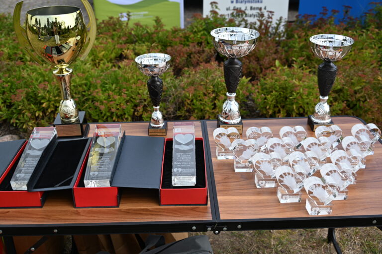 Nasze statuetki na Mistrzostwach